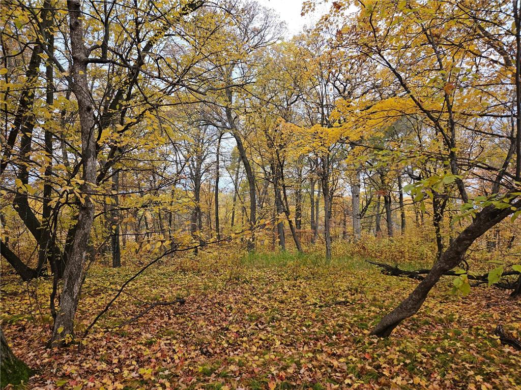 XXX Emerald Terrace NE Alexandria MN 56308 6450100 image1