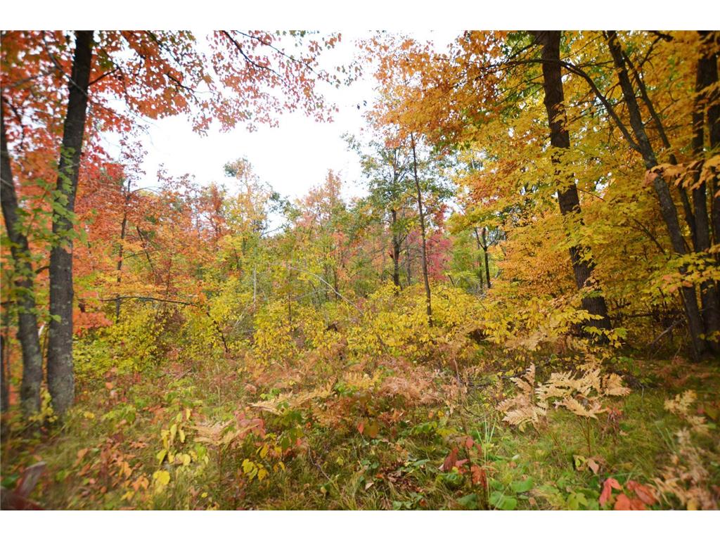 XXX Enders Road Markville MN 55072 6437629 image1