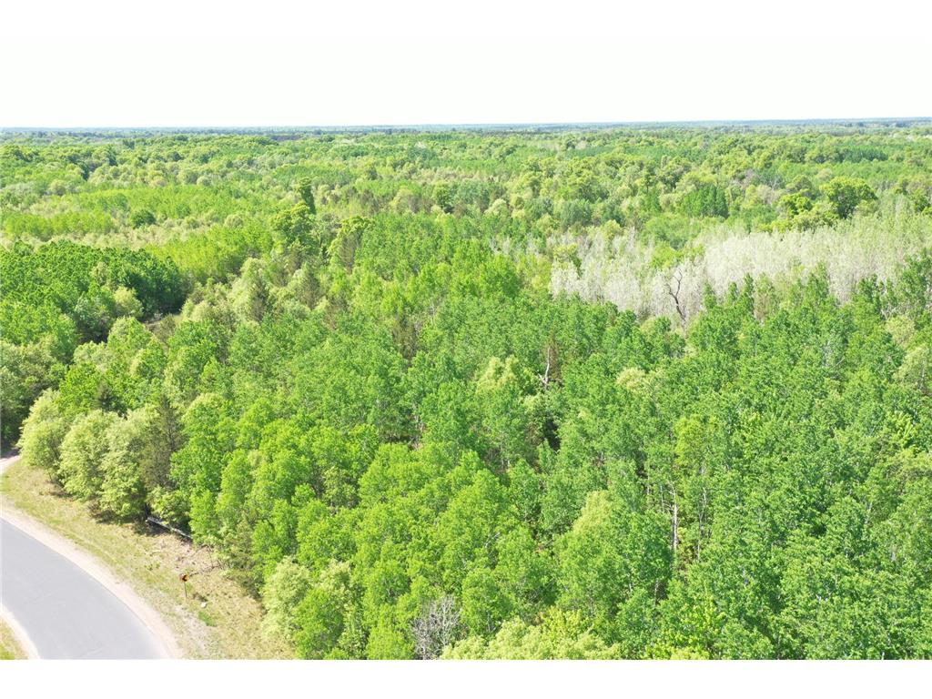 XXX Evergreen Avenue Saint Croix Falls WI 54024 7084476 image5