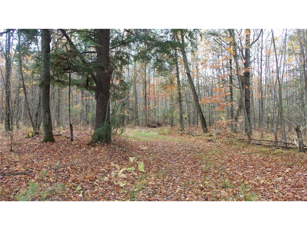 XXX FLAMBEAU RD Big Falls Twp WI 54848 6272154 image1