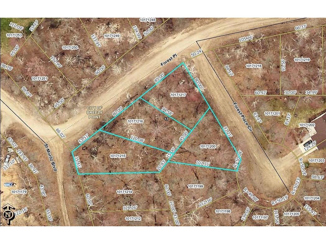 XXX Forest Place Circle, Breezy Point, MN 56472 MLS 5743100 Edina Realty