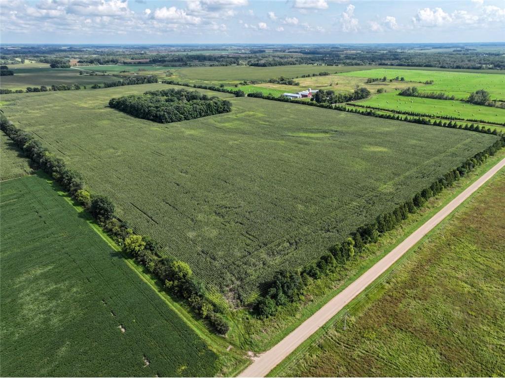 XXX Forster Road NE Carlos MN 56319 6771859 image1