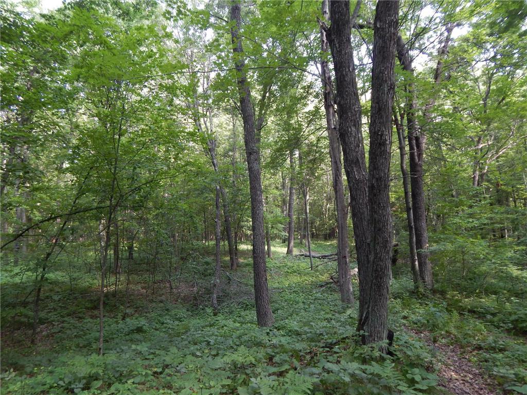 XXX Fosberg Road Siren WI 54872 6575646 image1