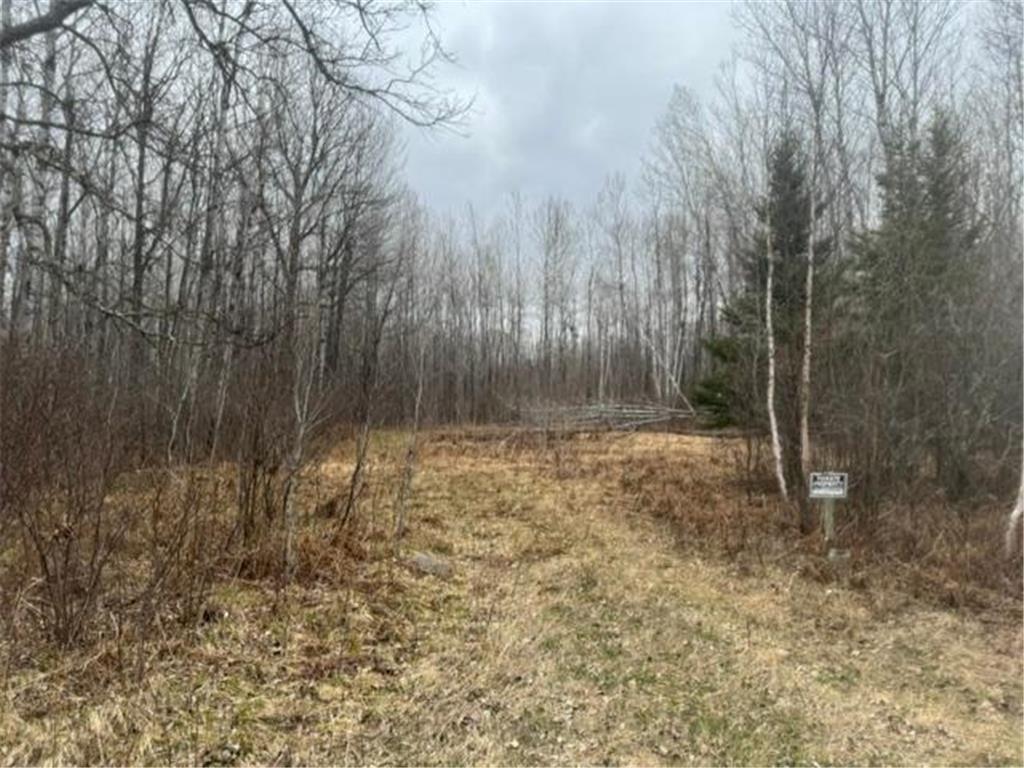 XXX Frazer Road Oteneagen Twp MN 56631 7074312 image1