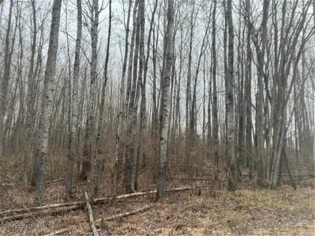 XXX Frazer Road Oteneagen Twp MN 56631 7074312 image2