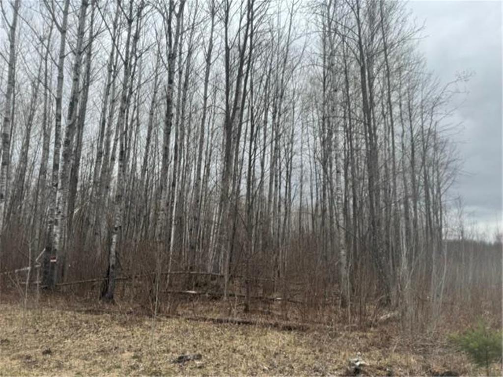 XXX Frazer Road Oteneagen Twp MN 56631 7074312 image3
