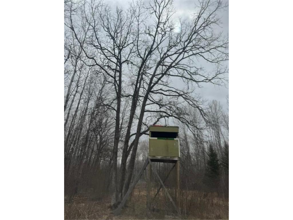 XXX Frazer Road Oteneagen Twp MN 56631 7074312 image4