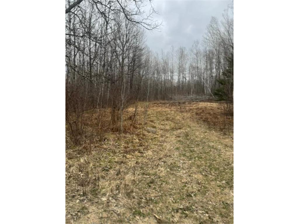 XXX Frazer Road Oteneagen Twp MN 56631 7074312 image5