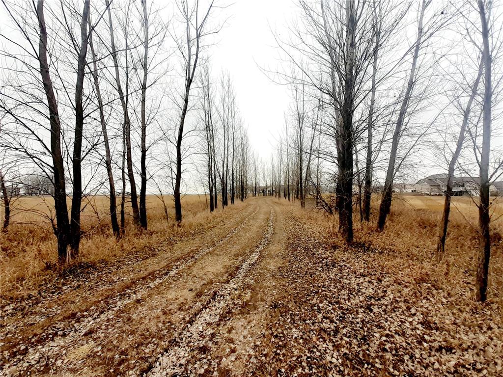 XXX Frenzel Drive Arlington MN 55307 7092332 image16