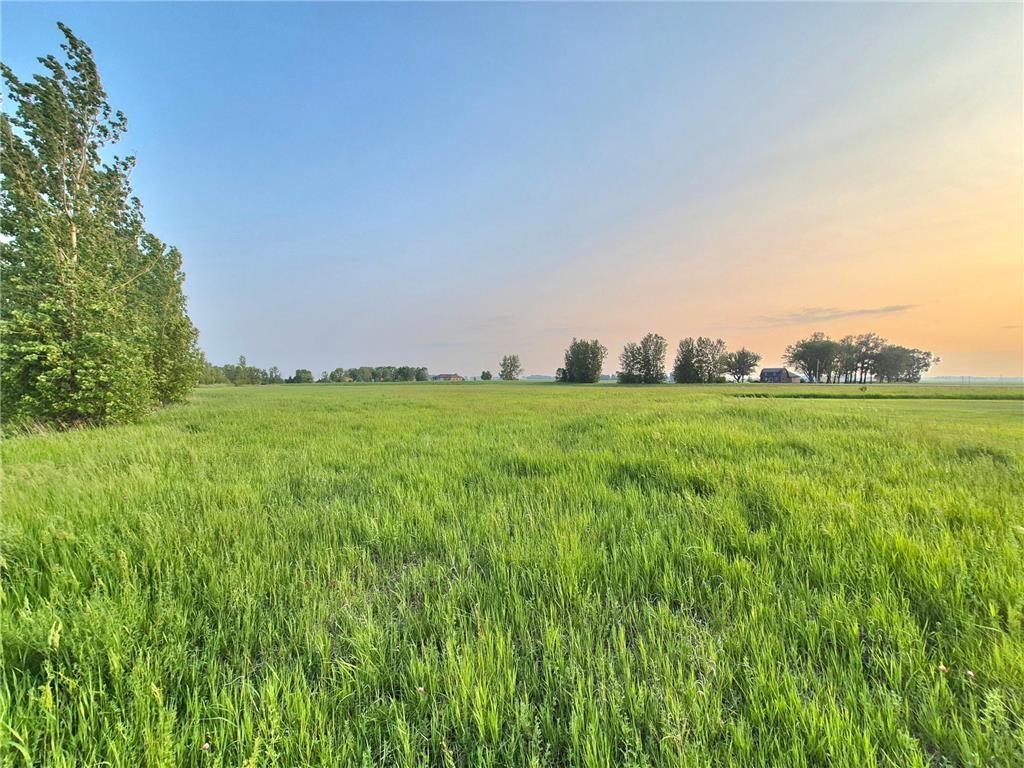XXX Frenzel Drive Arlington MN 55307 7092332 image4