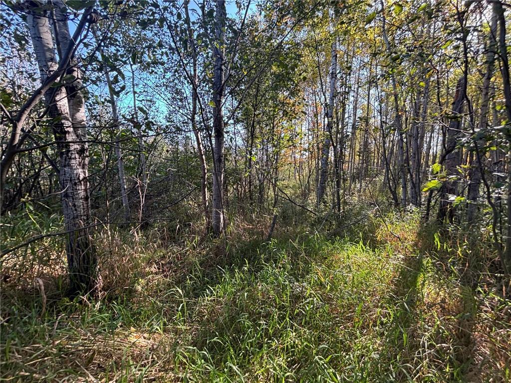 XXX Garfield Street Cloquet MN 55720 7058999 image2