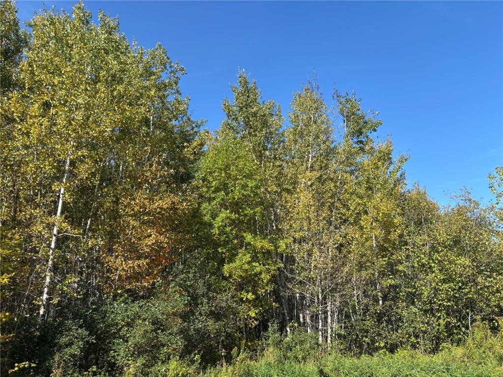 XXX Garfield Street Cloquet MN 55720 7058999 image5