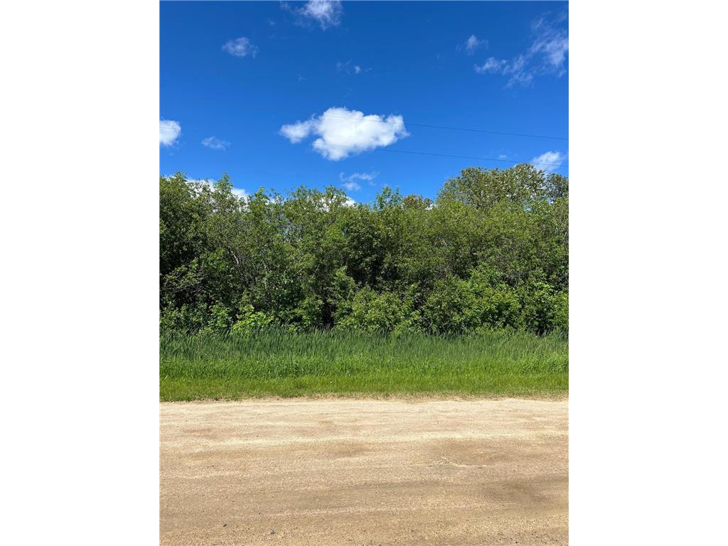 XXX Graceton Beach Road NW Williams MN 56686 - Lake of The Woods 6753640 image3