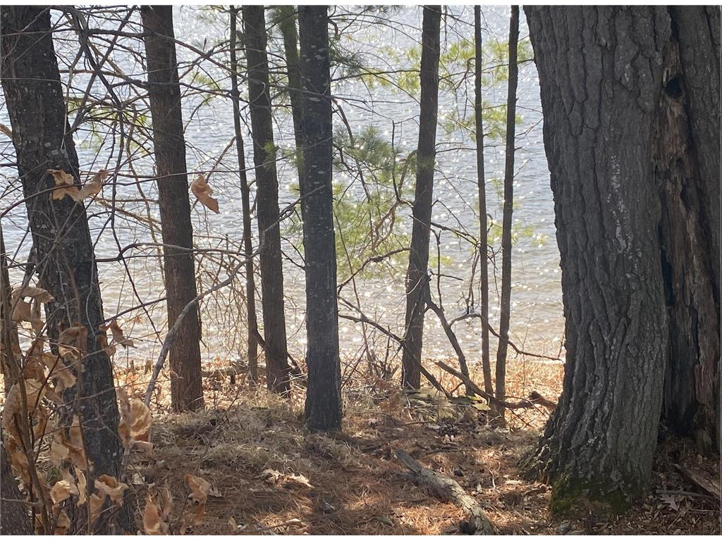 XXX Greatwood Ln Beaver Twp WI 54889 - Horseshoe Lake 6584226 image1