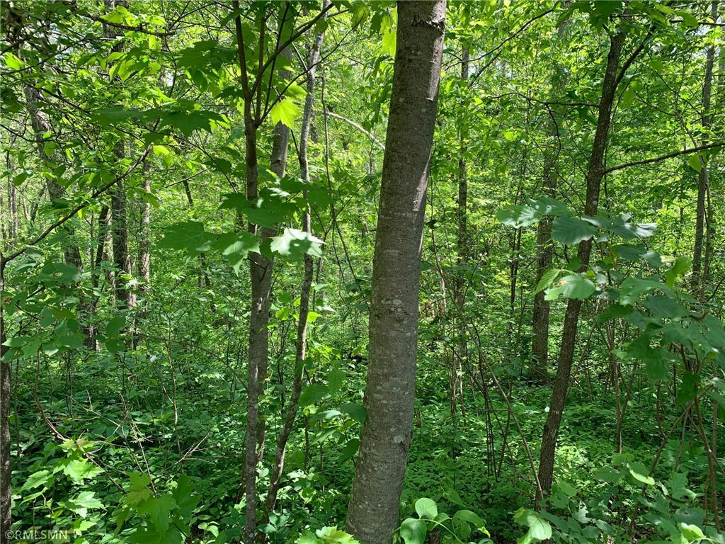 XXX Grouse Street Mcgregor MN 55760 6386655 image1