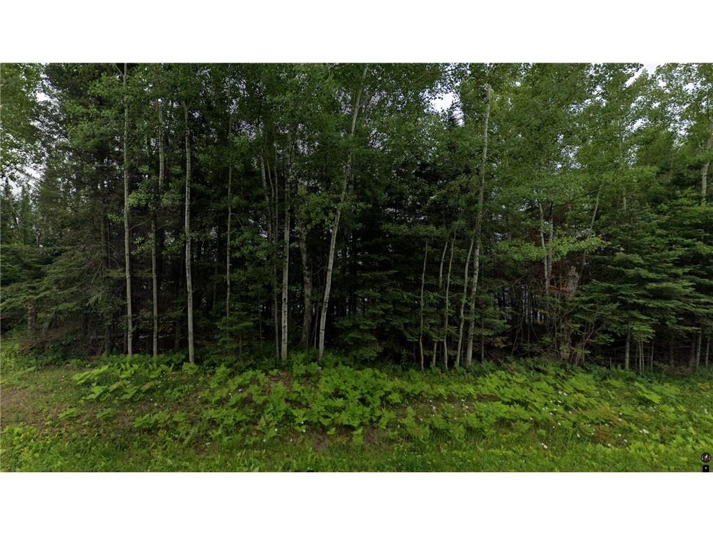 XXX HWY 100 Aurora MN 55705 - North Twin Lake 6703995 image1