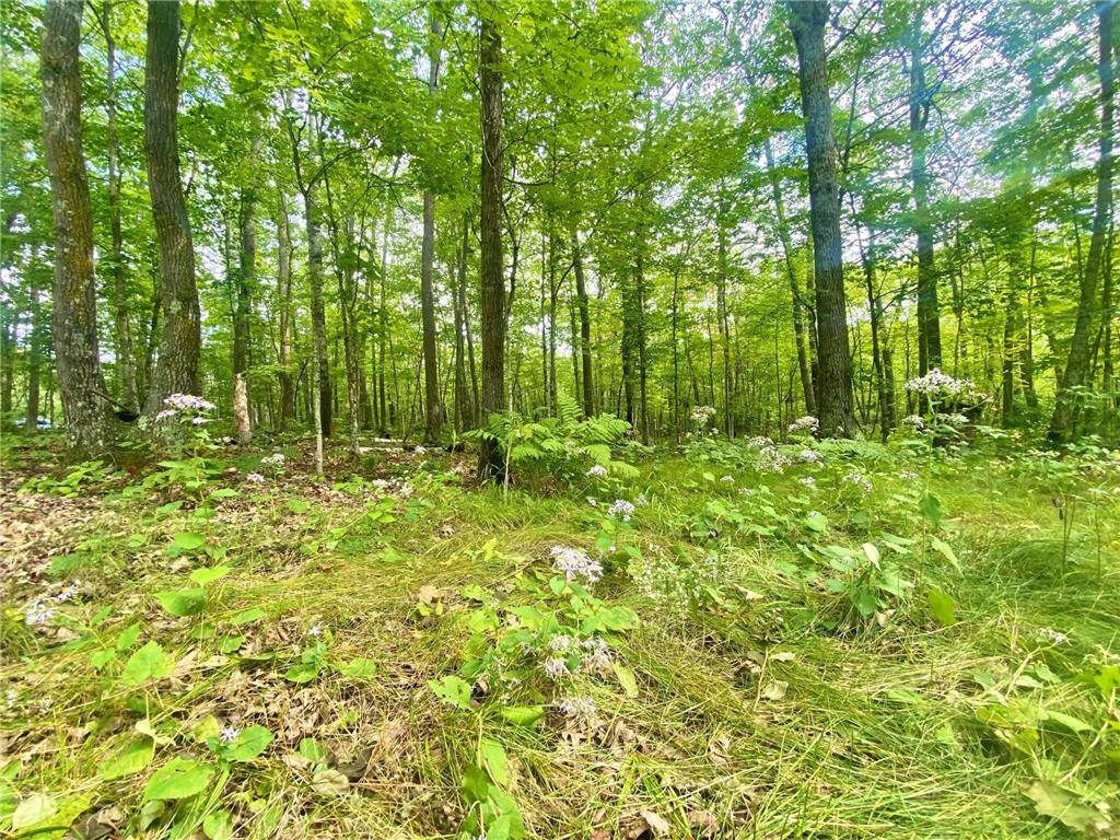 XXX HWY 41 Bremen Twp MN 55795 6355760 image1