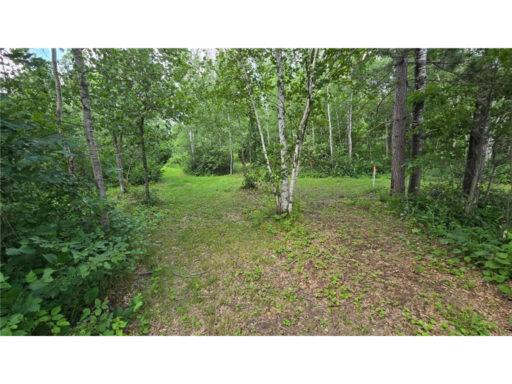 XXX HWY 77 Swiss Twp WI 54830 7113776 image13