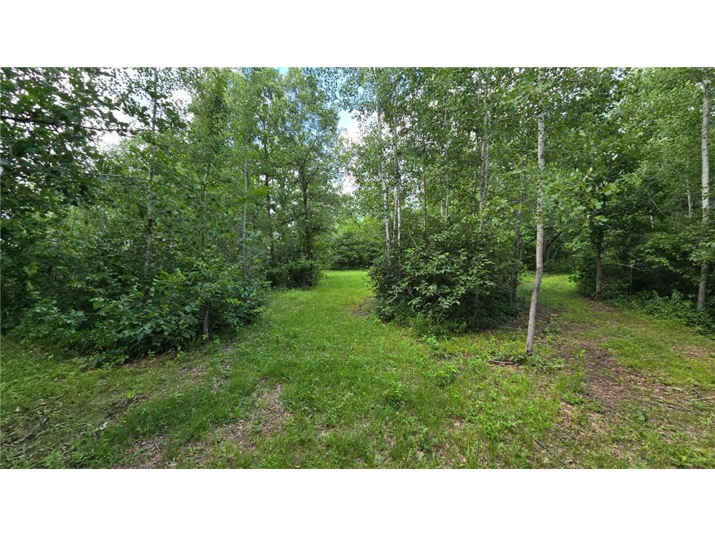 XXX HWY 77 Swiss Twp WI 54830 7113776 image15
