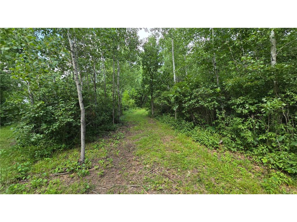 XXX HWY 77 Swiss Twp WI 54830 7113776 image16