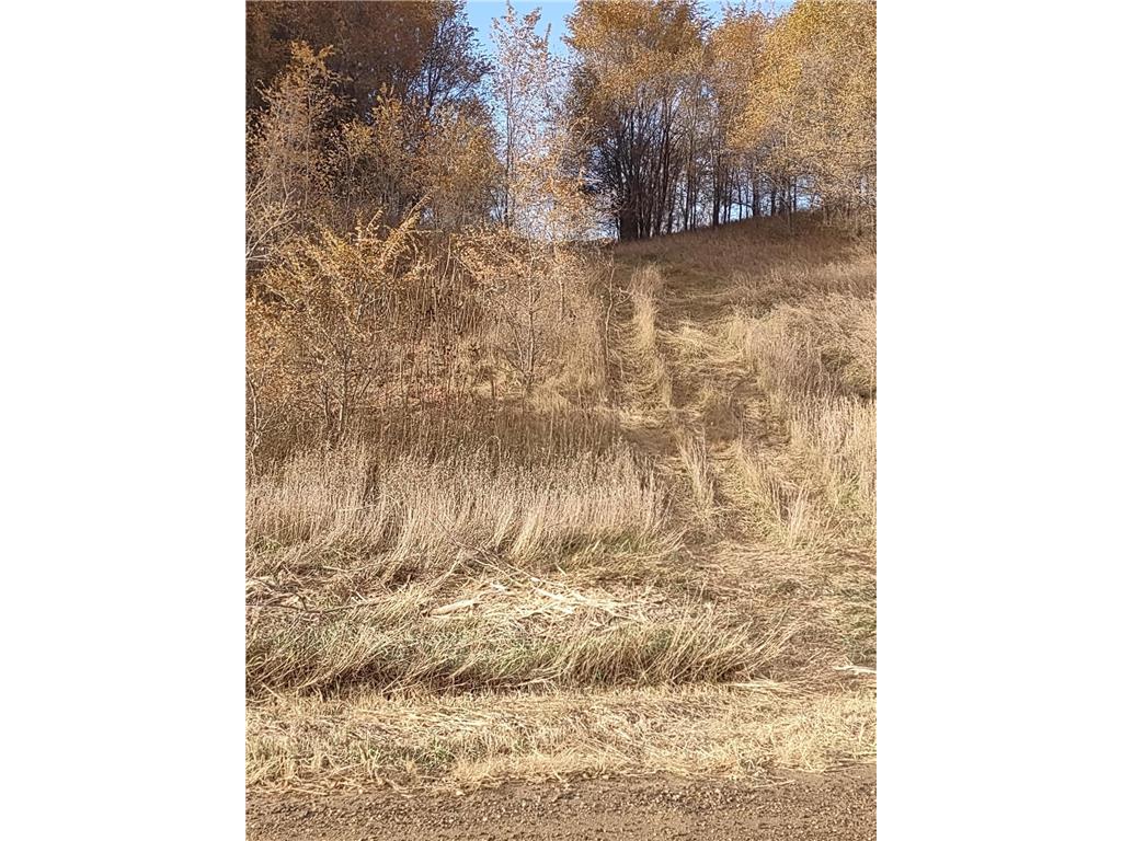 XXX Harris Trail Morristown MN 55052 6245862 image1