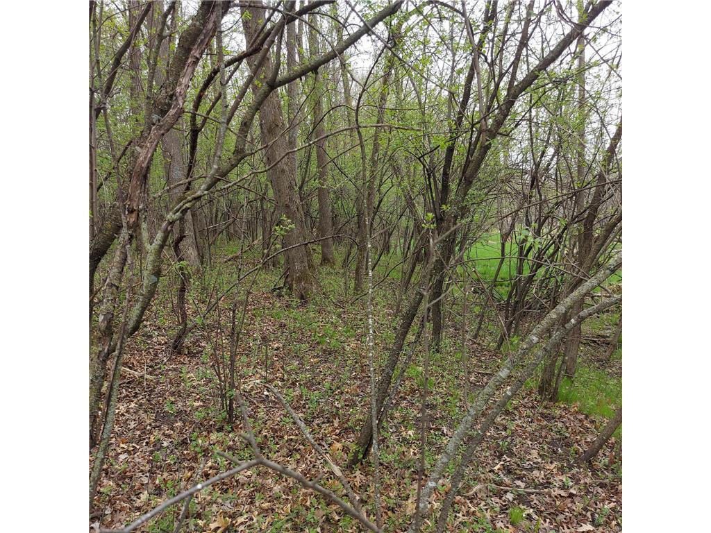 XXX Harrison Avenue, Amery, WI, 54001 MLS 6370465 Edina Realty