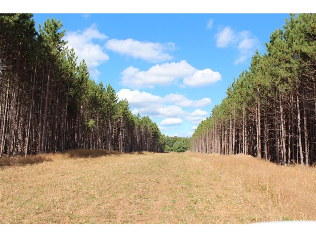 XXX Hay Creek Boulevard Grantsburg WI 54840 - Hay Creek Flowage 6819814 image10