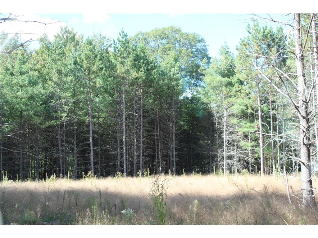 XXX Hay Creek Boulevard Grantsburg WI 54840 - Hay Creek Flowage 6819814 image4