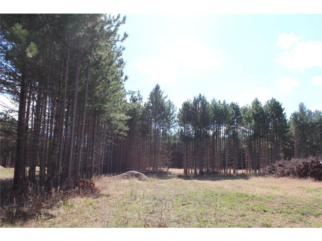 XXX Hay Creek Boulevard Grantsburg WI 54840 - Hay Creek Flowage 6819814 image5