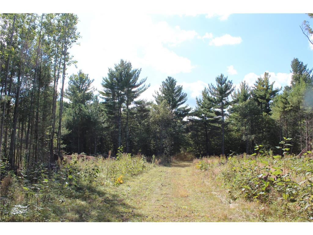 XXX Hay Creek Boulevard Grantsburg WI 54840 - Hay Creek Flowage 6819814 image8