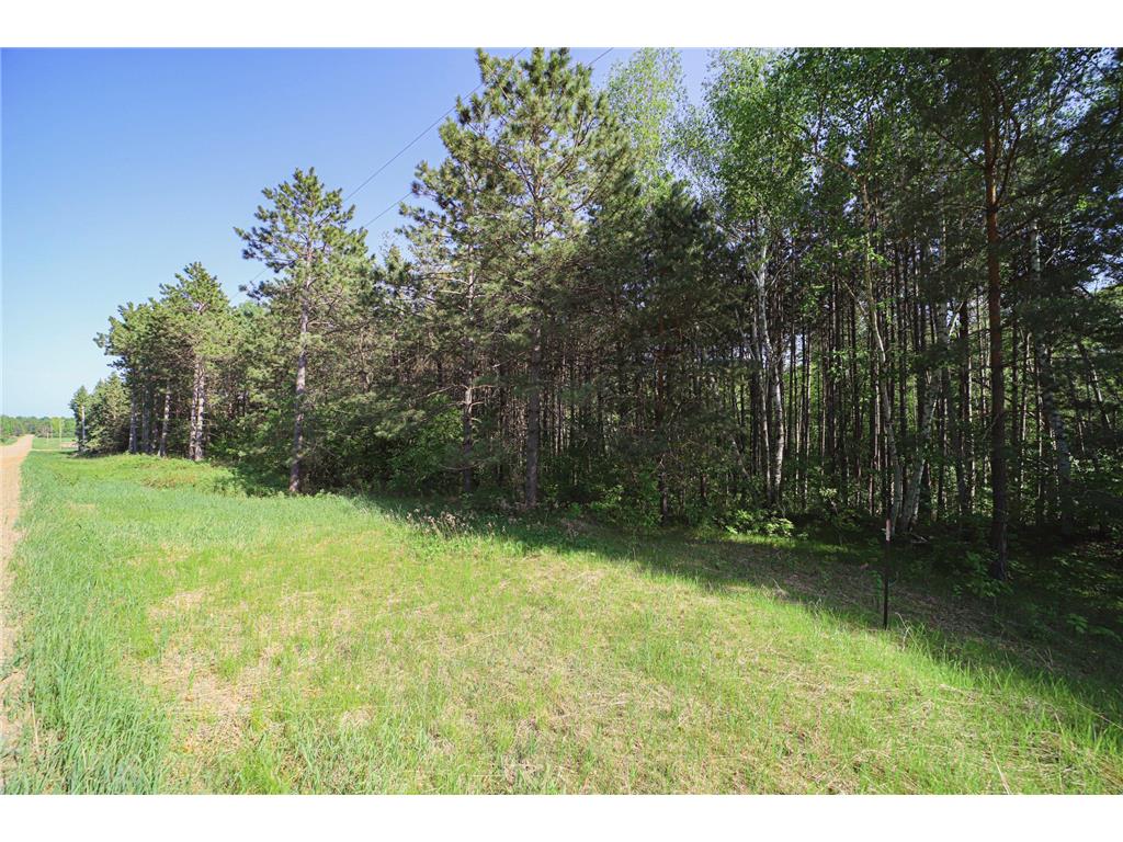 XXX Hay Creek Road Fort Ripley MN 56449 6377098 image1