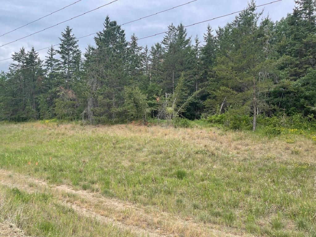 XXX Henrietta Avenue Park Rapids MN 56470 6428374 image1