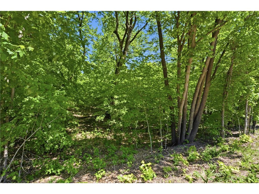 XXX Highland Circle NW Ida Twp MN 56308 7070684 image18