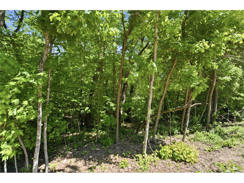 XXX Highland Circle NW Ida Twp MN 56308 7070684 image19