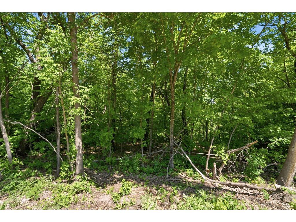 XXX Highland Circle NW Ida Twp MN 56308 7070684 image20