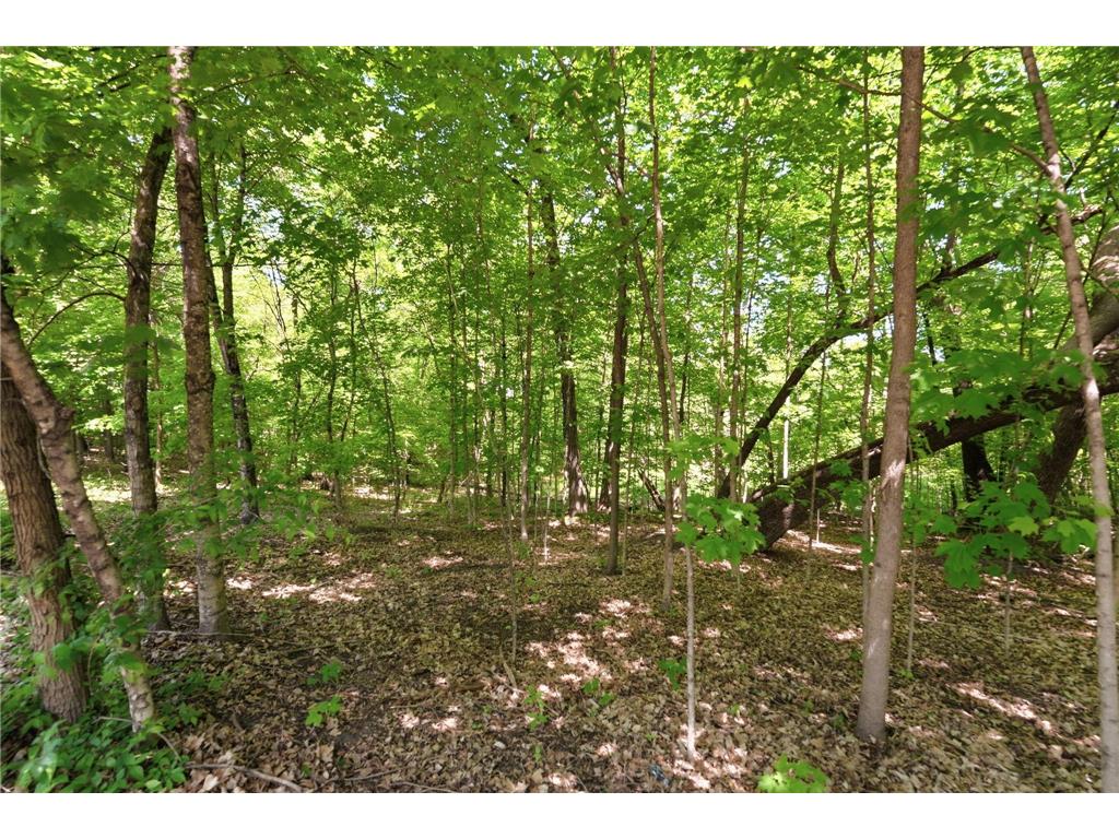 XXX Highland Circle NW Ida Twp MN 56308 7070684 image21