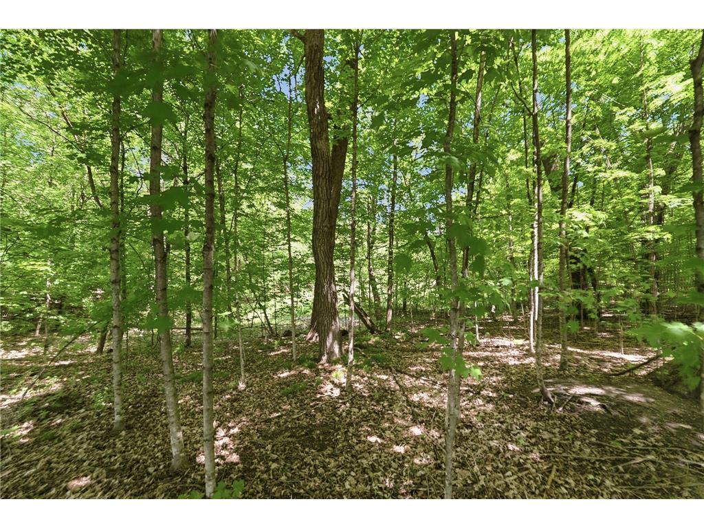 XXX Highland Circle NW Ida Twp MN 56308 7070684 image22