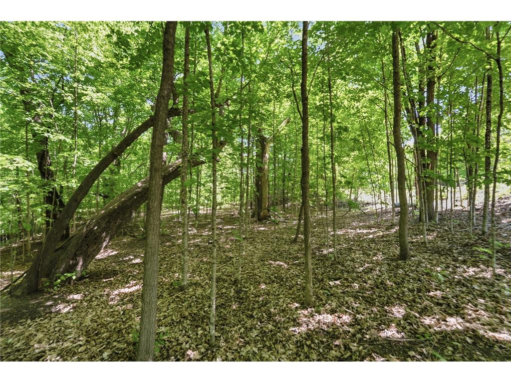 XXX Highland Circle NW Ida Twp MN 56308 7070684 image23