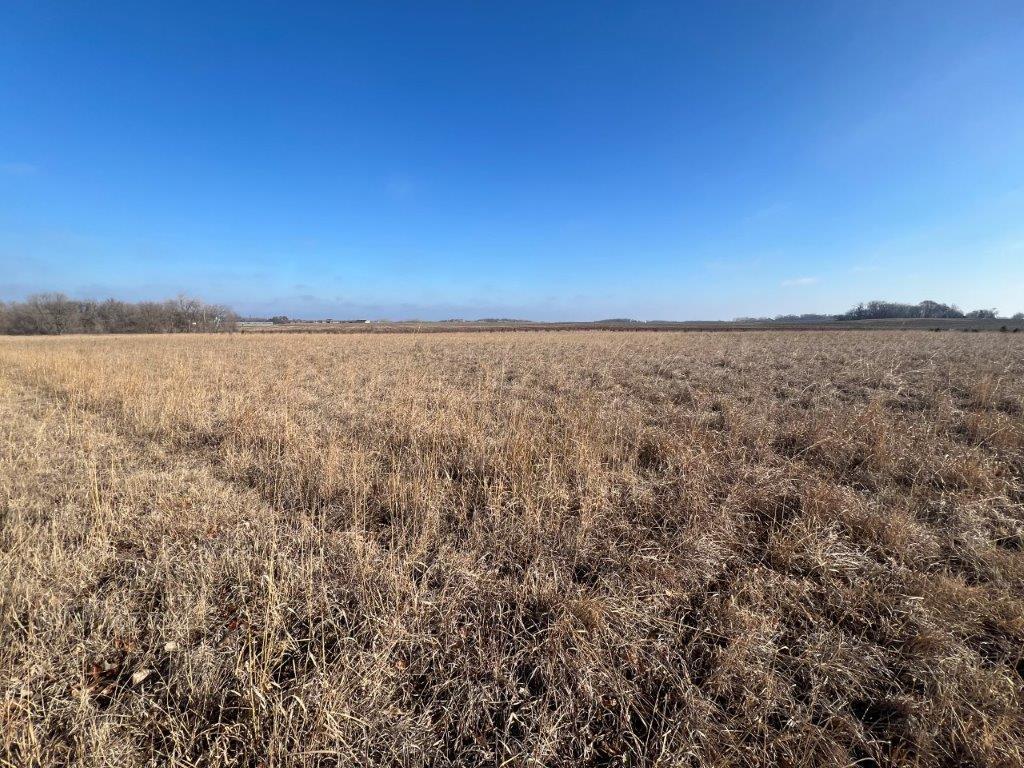 XXX Highview Drive SW Sparta Twp MN 56265 6504360 image1