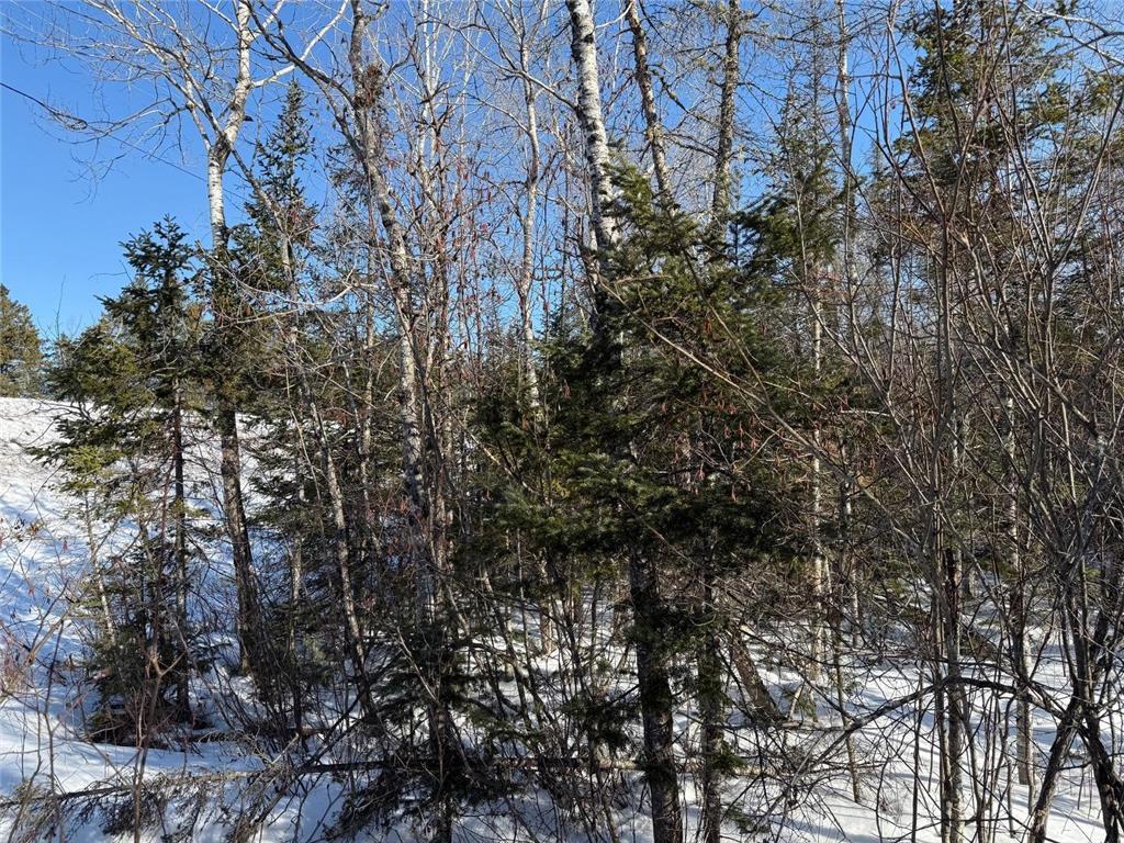 XXX Highway 12 Two Harbors MN 55616 7047724 image15