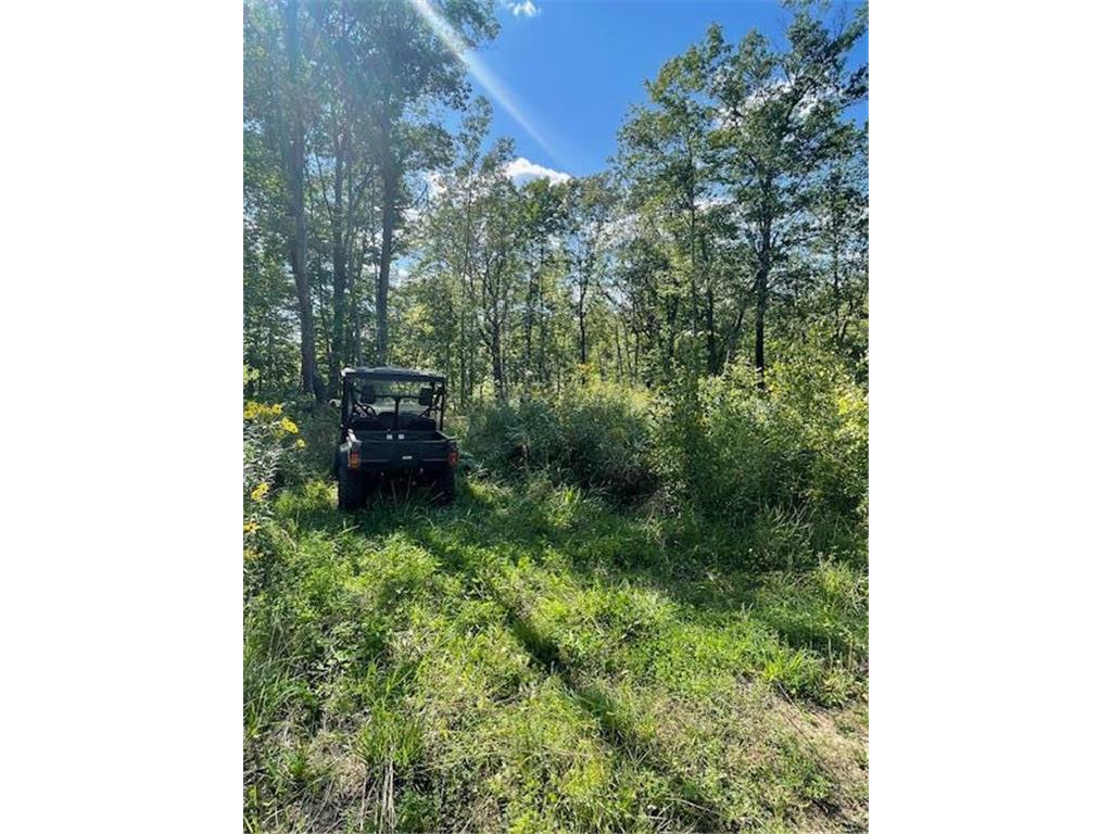 XXX Highway 169 Garrison Twp MN 56450 6691185 image11