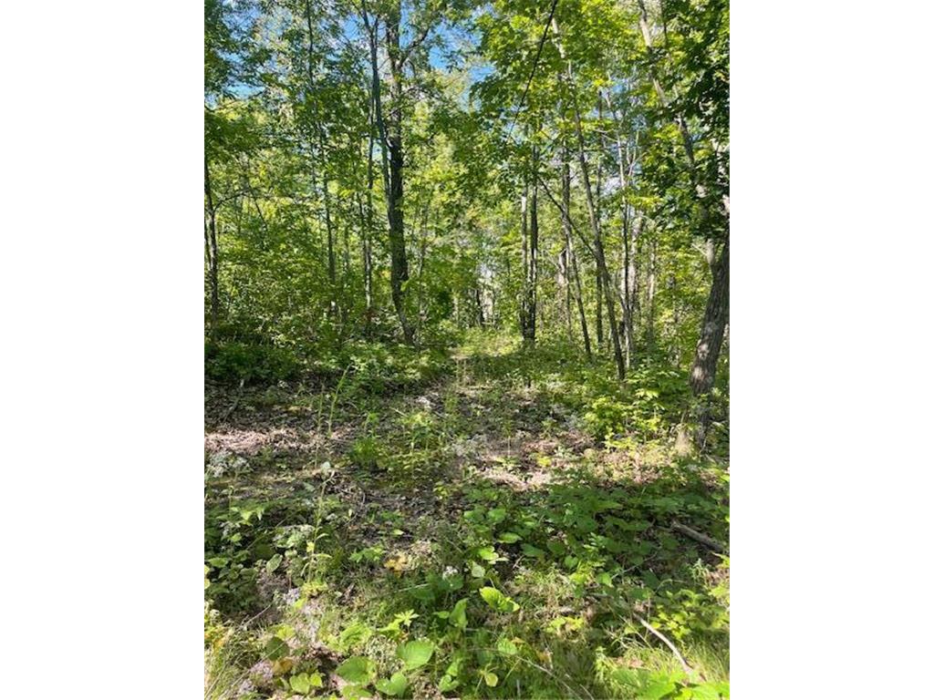 XXX Highway 169 Garrison Twp MN 56450 6691185 image12