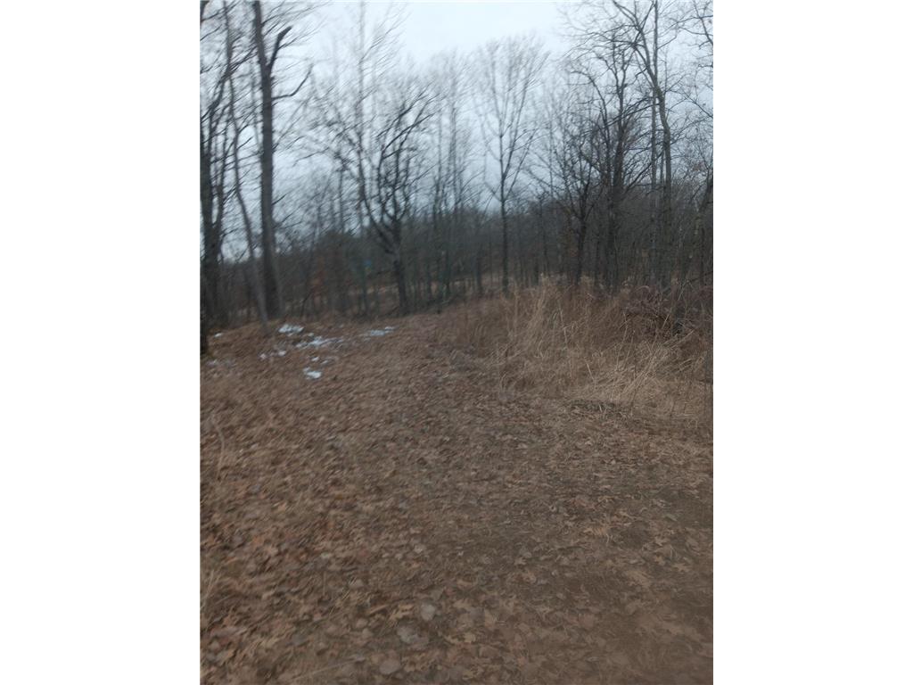 XXX Highway 169 Garrison Twp MN 56450 6691185 image3