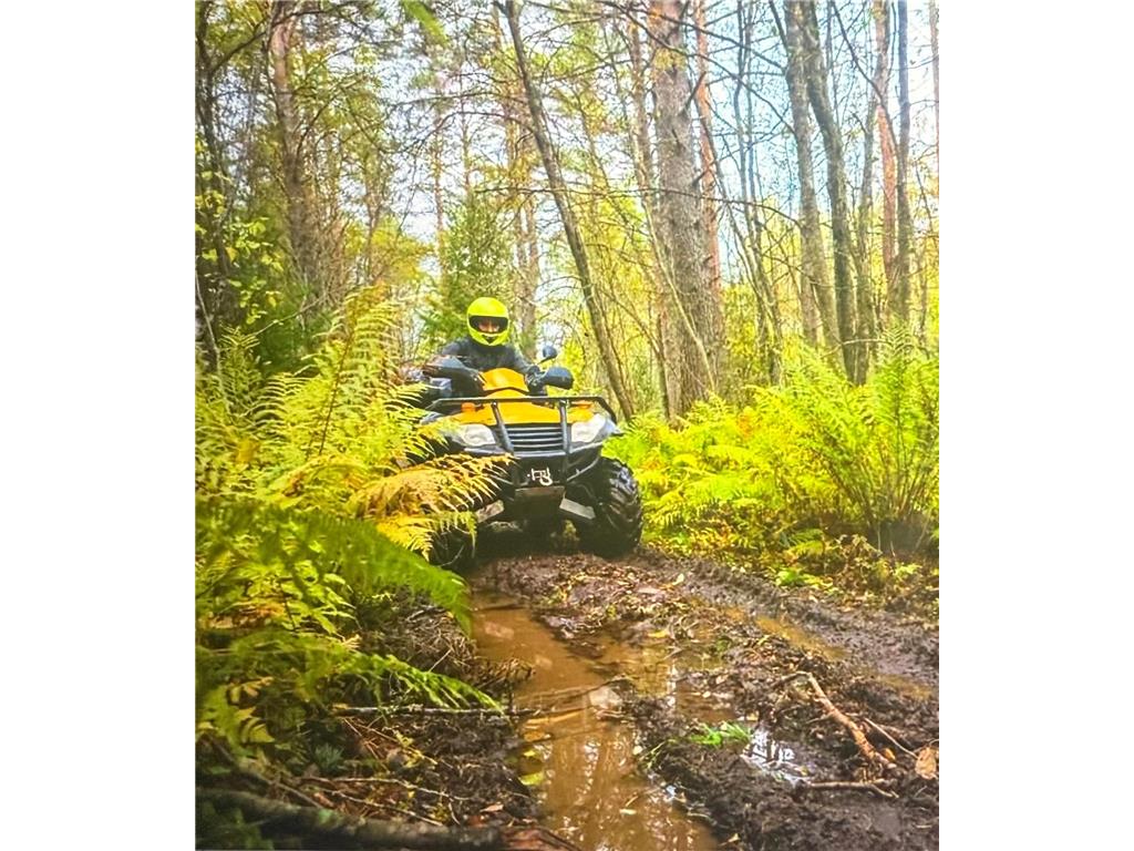 XXX Highway 169 Garrison Twp MN 56450 6691185 image4