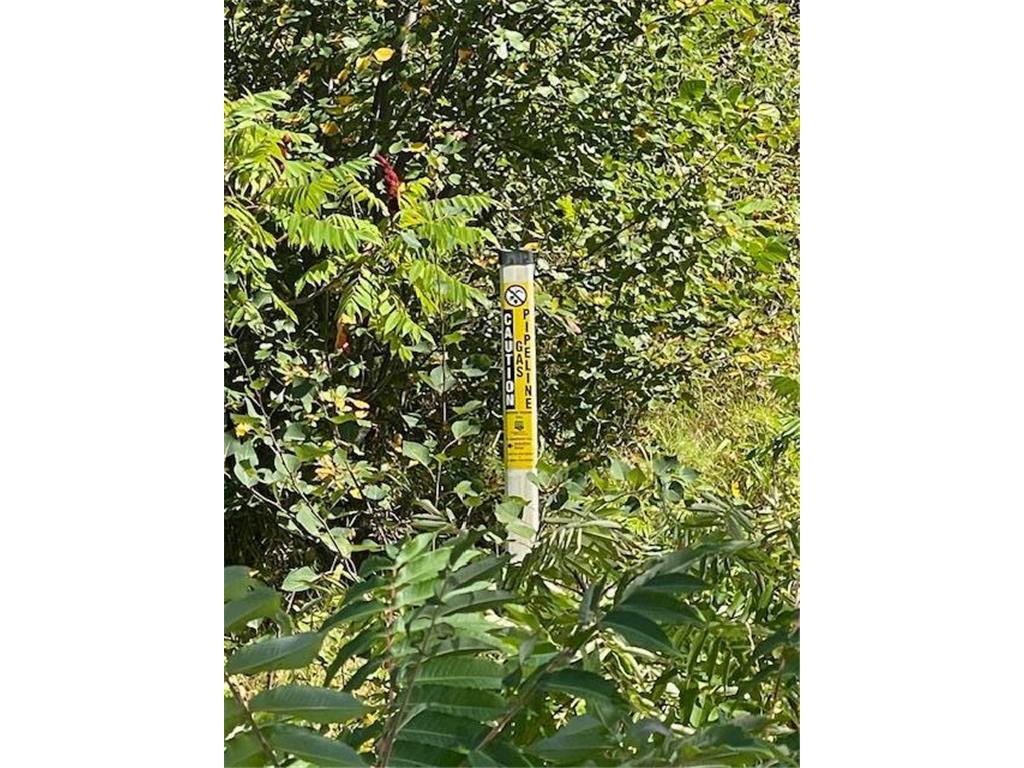 XXX Highway 169 Garrison Twp MN 56450 6691185 image9