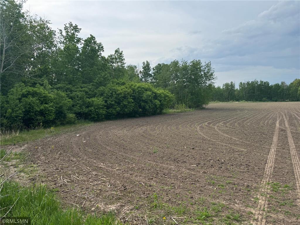 XXX Highway 23 Mora MN 55051 6677412 image10