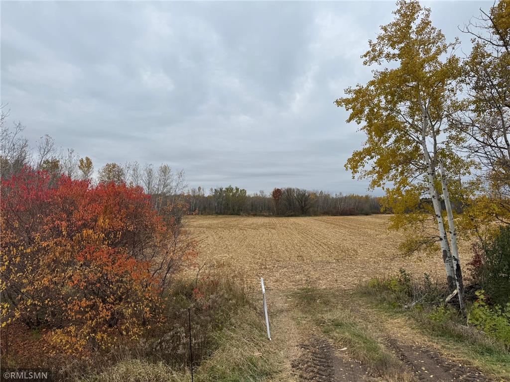 XXX Highway 23 Mora MN 55051 6677412 image12