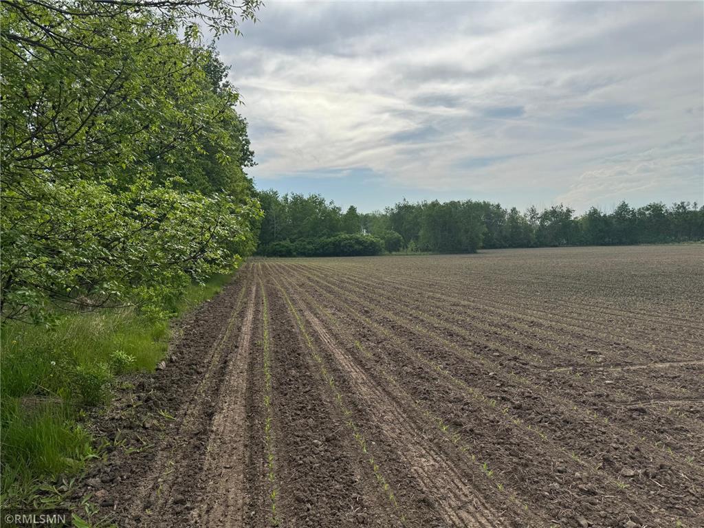 XXX Highway 23 Mora MN 55051 6677412 image4