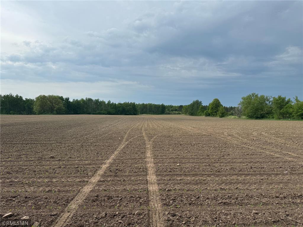 XXX Highway 23 Mora MN 55051 6677412 image6