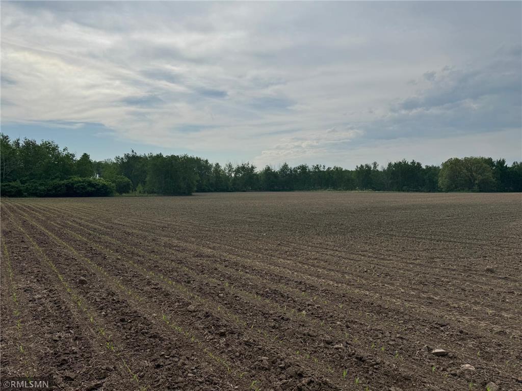 XXX Highway 23 Mora MN 55051 6677412 image7